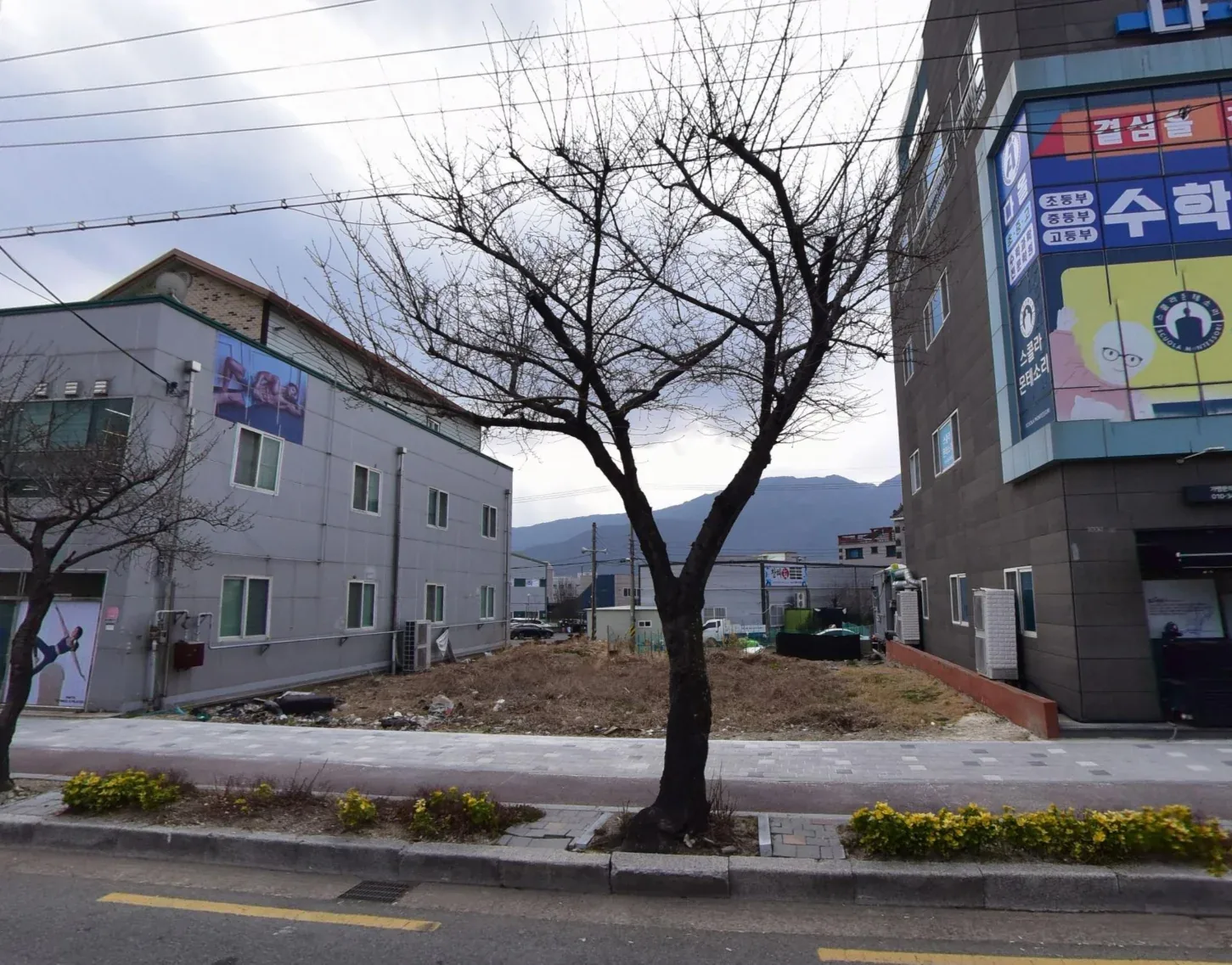 양산시 명동 대단지 아파트앞 개발가능 나대지 매매 - 경남 양산시 명동 토지 매매